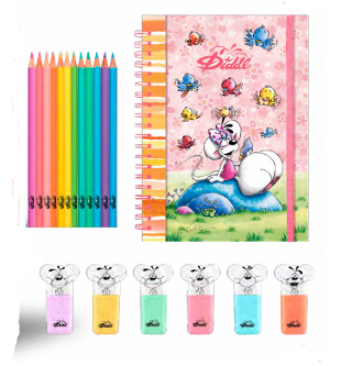 Coffret cadeau dessin Diddl